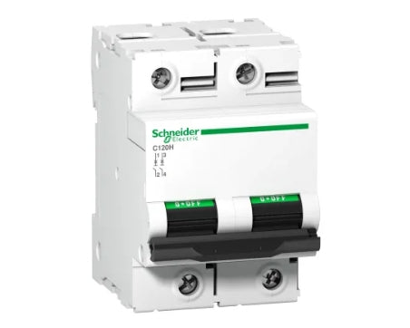 Schneider Electric Acti 9 A9N1 MCB, 2P, 100A Curve C